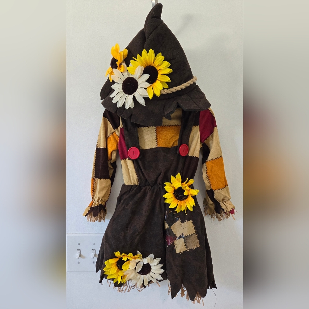 Scarecrow Costume